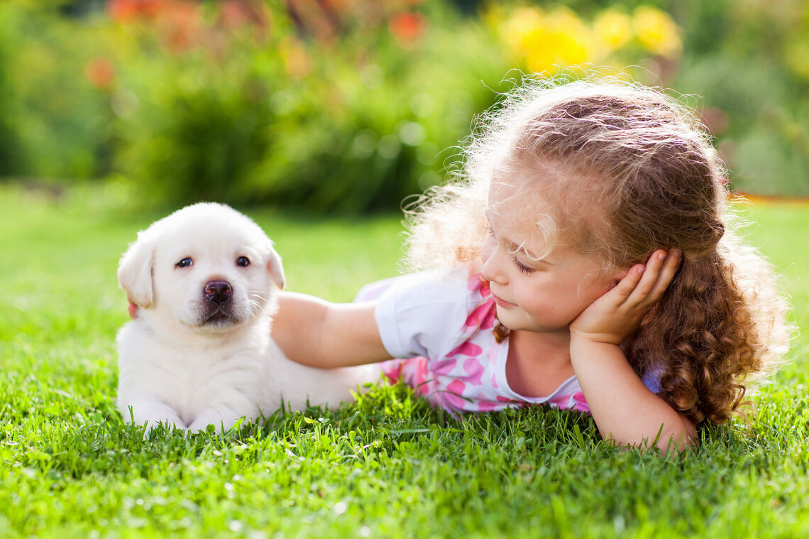 A girl is lying on a green lawn with a white puppy.